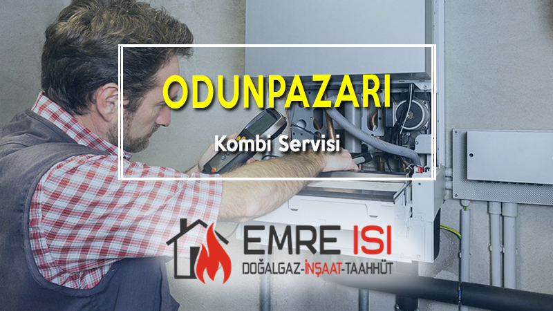 odunpazarı kombi servisi